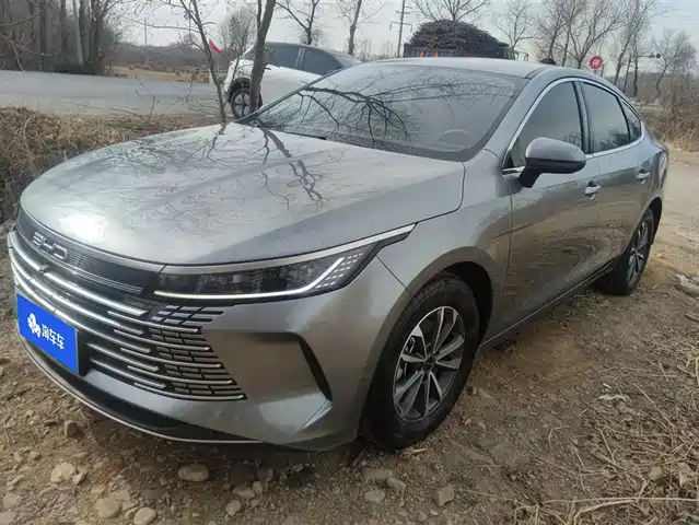 BYD DESTROYER 05 2024