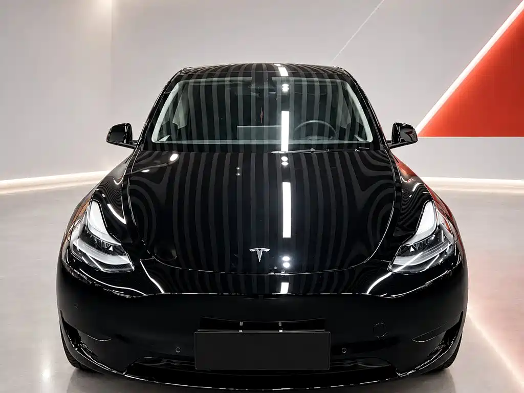 Tesla Model Y — миниатюра 2