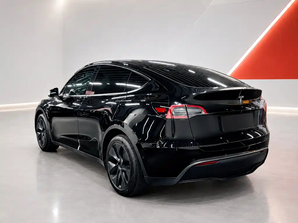 Tesla Model Y — миниатюра 4