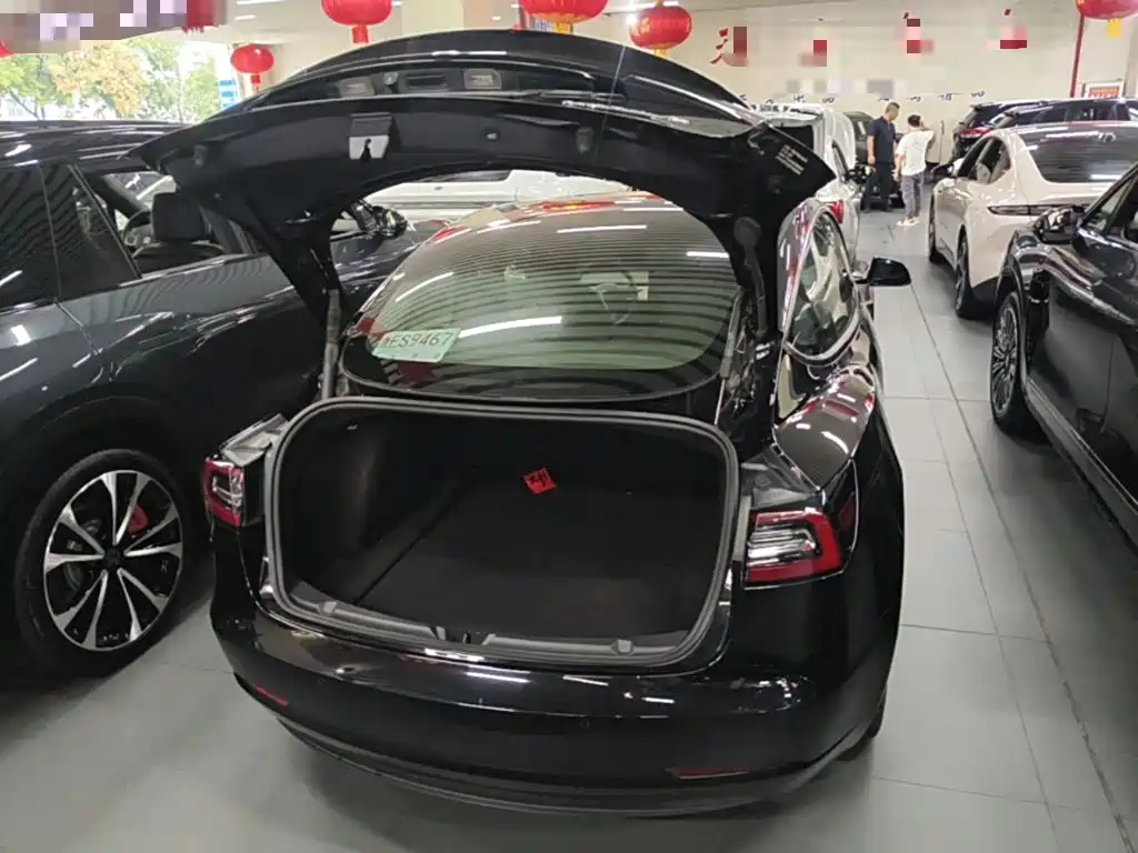 Tesla Model 3 — миниатюра 19