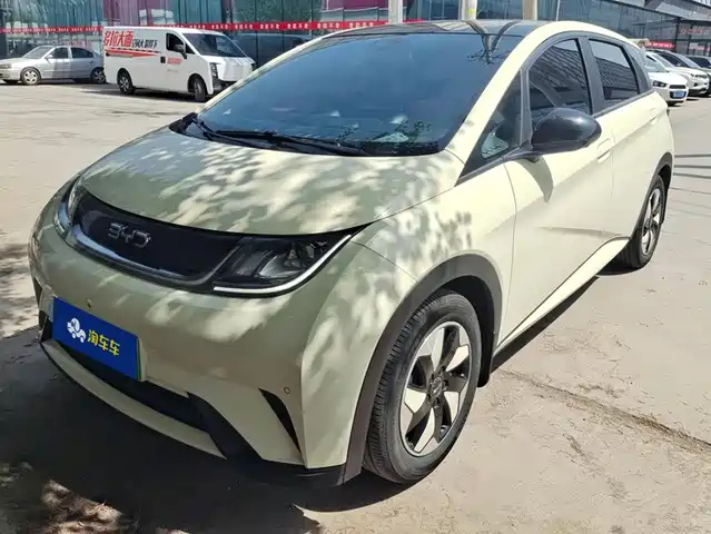 2024 BYD Dolphin
