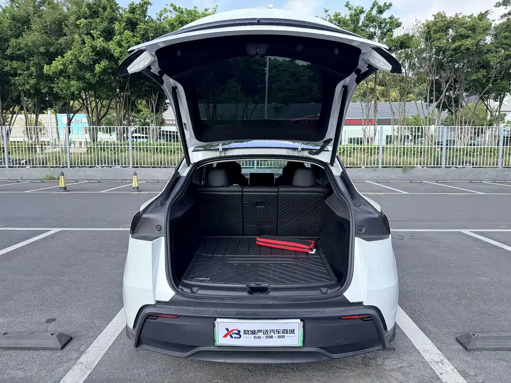 Tesla Model Y — миниатюра 9
