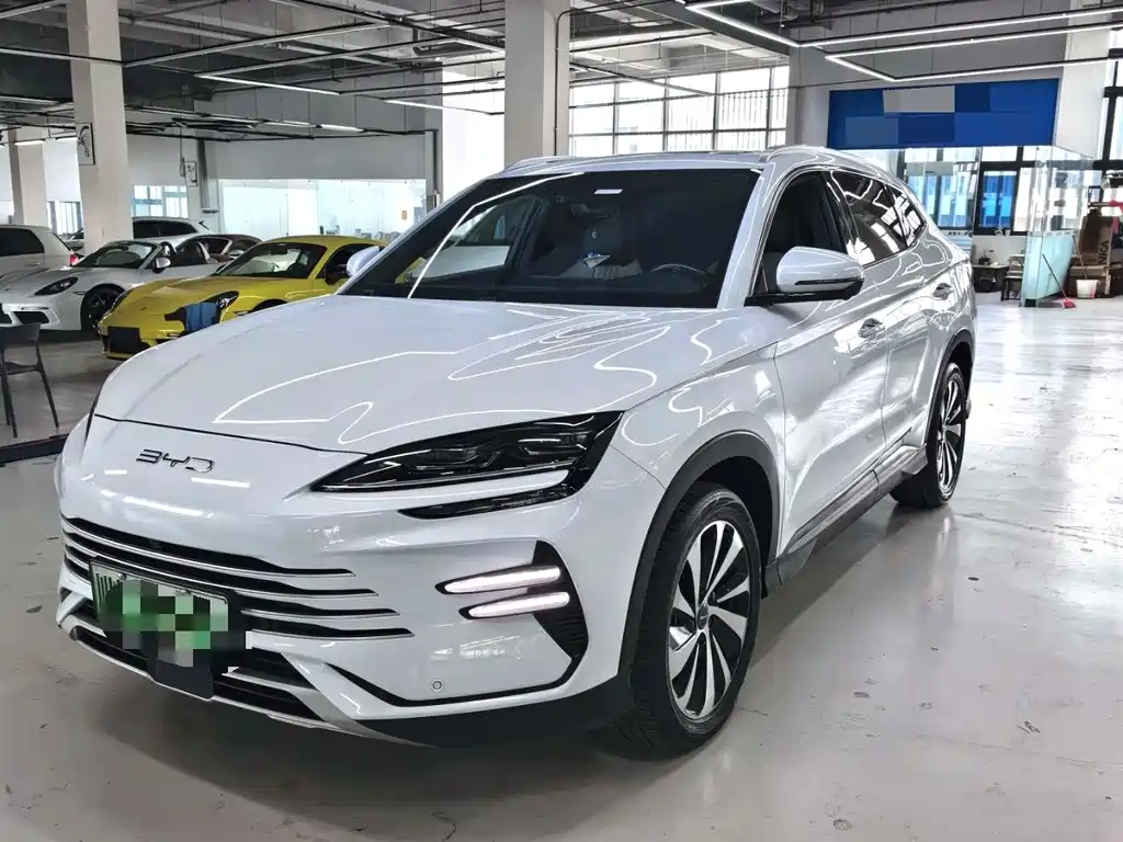 Byd PLUS New Energy 2024