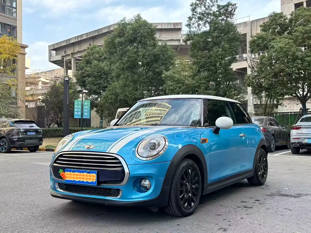 Mini Mini 2016