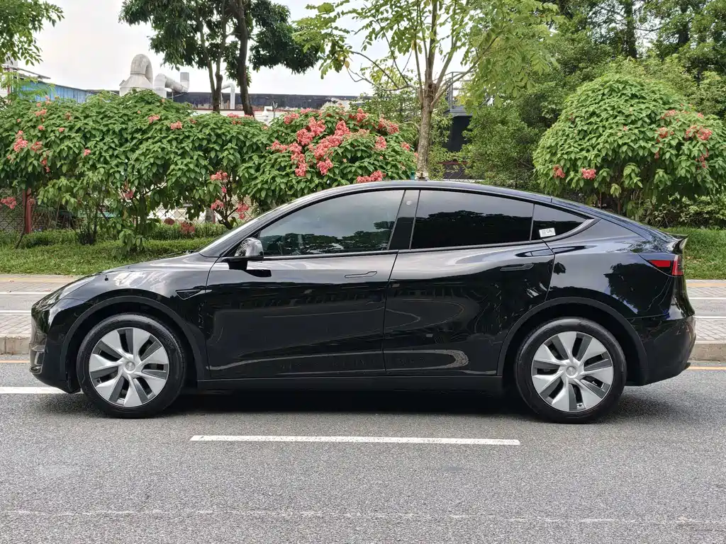 Tesla Model Y — миниатюра 7