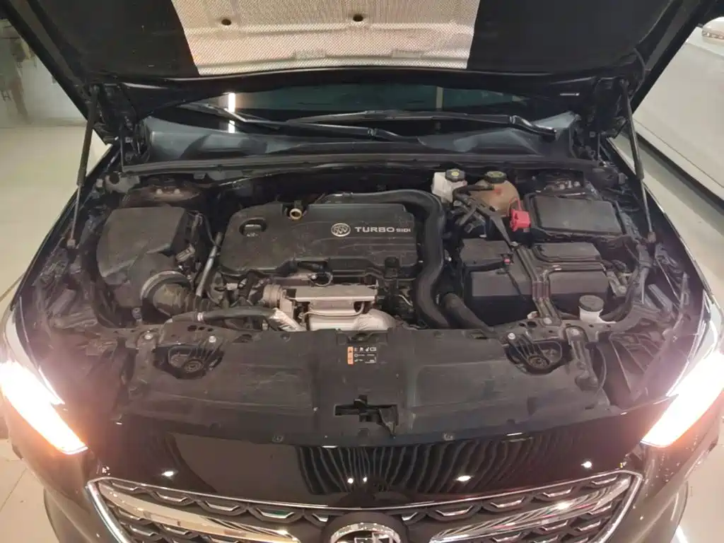 Buick Regal — миниатюра 20