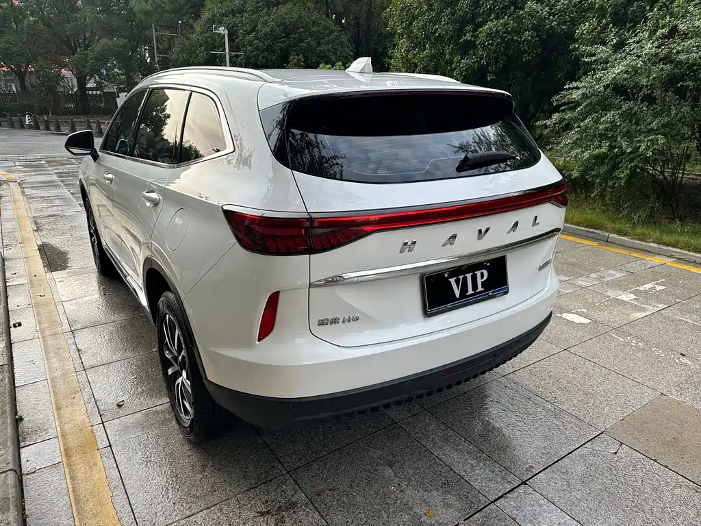 Haval H6 — миниатюра 11