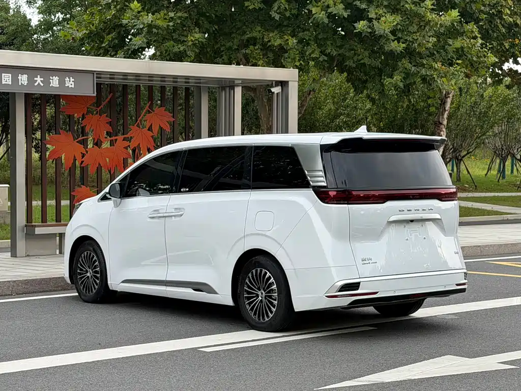 Denza Denza D9 — миниатюра 10