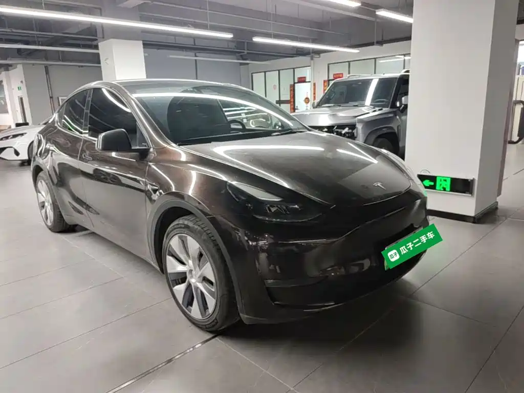 Tesla Model Y — миниатюра 4