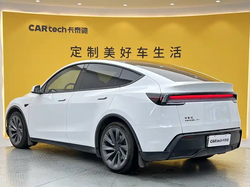 Tesla Model Y — миниатюра 6