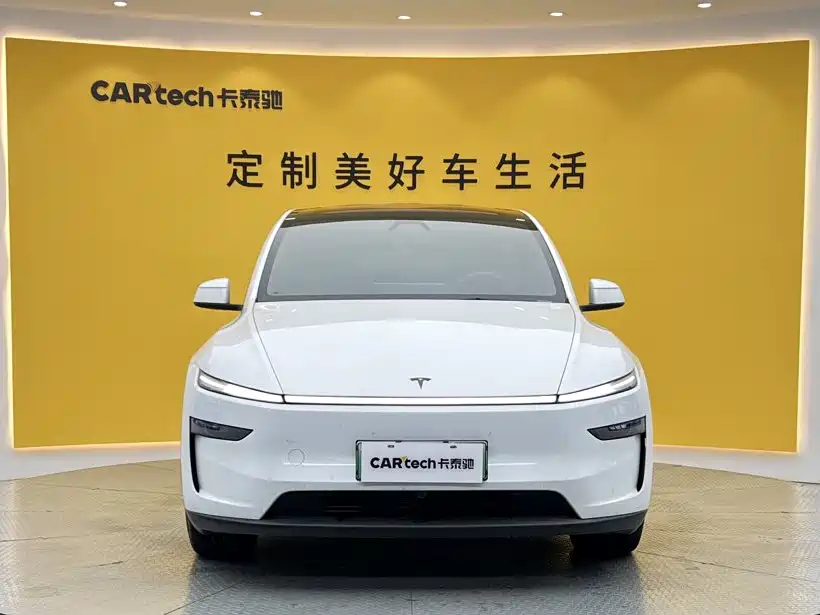 Tesla Model Y — миниатюра 3