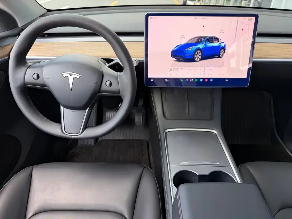 Tesla Model Y — миниатюра 11