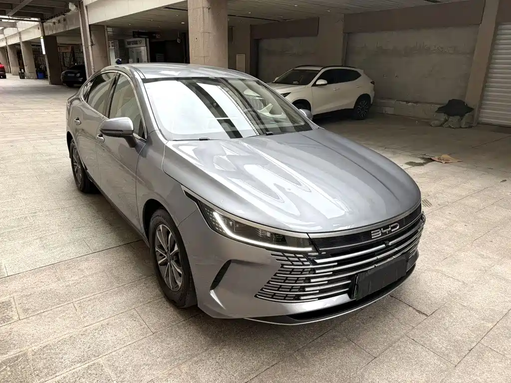 BYD Destroyer 05 2024 DM-i 55KM Luxury