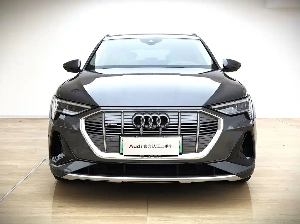 Audi e-tron (Import) — миниатюра 2
