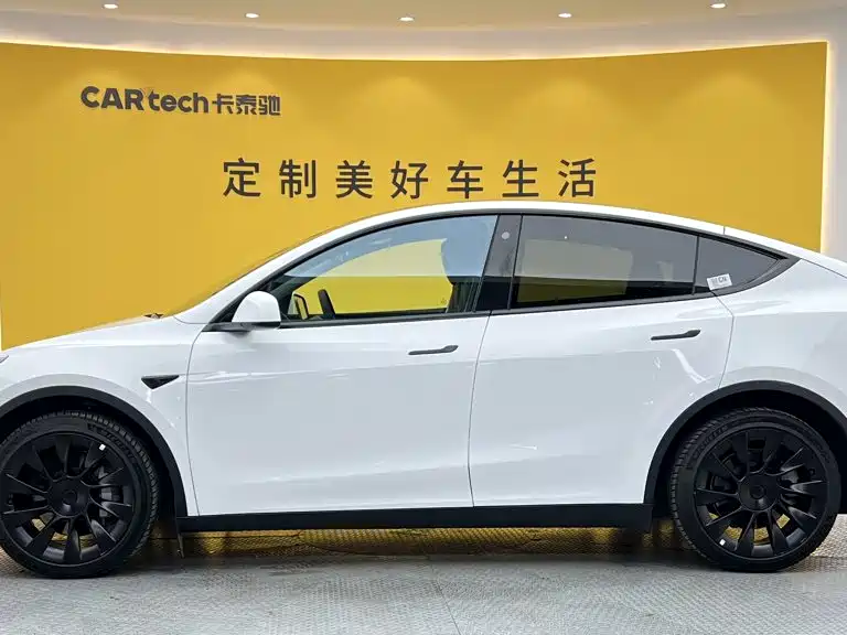 Tesla Model Y — миниатюра 6