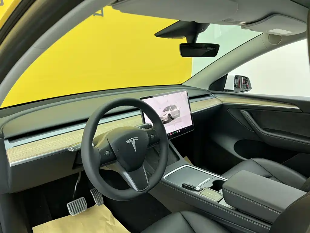 Tesla Model Y — миниатюра 36