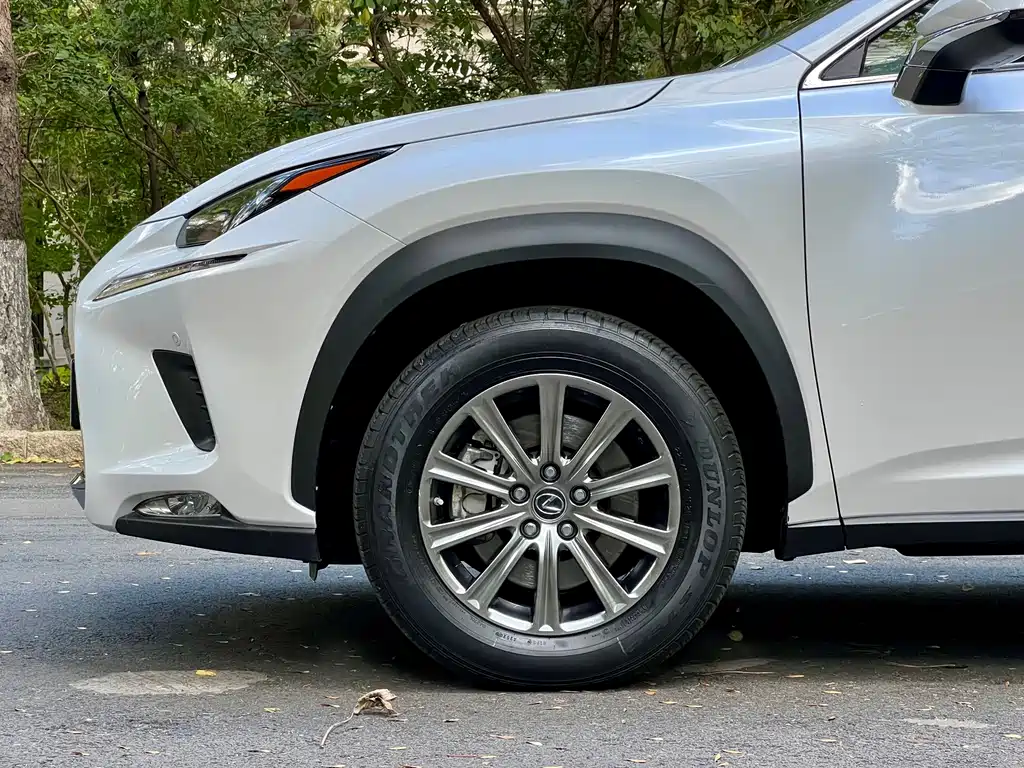 Lexus NX — миниатюра 14