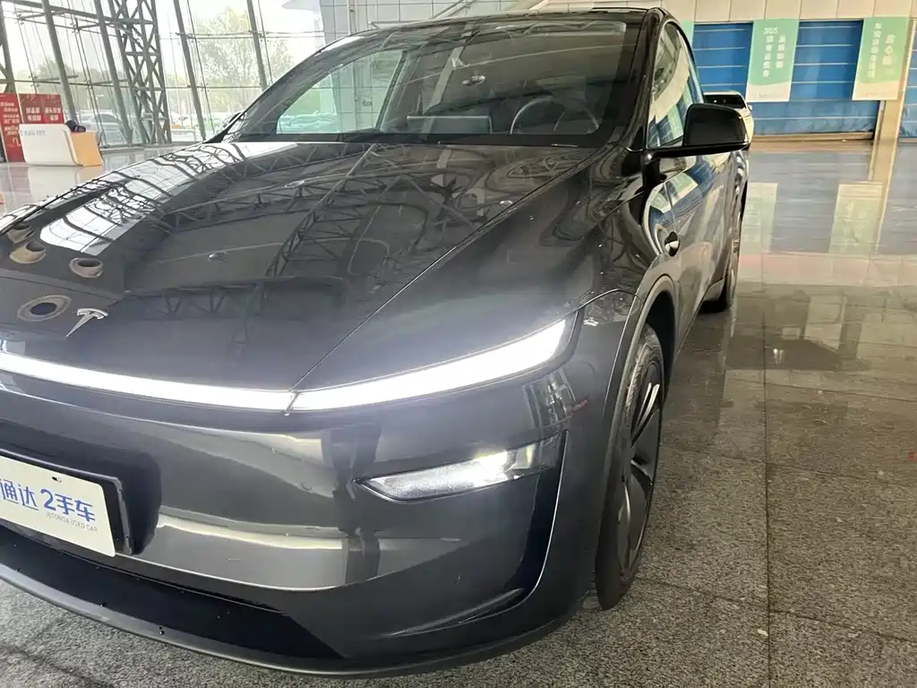 Tesla Model Y — миниатюра 6