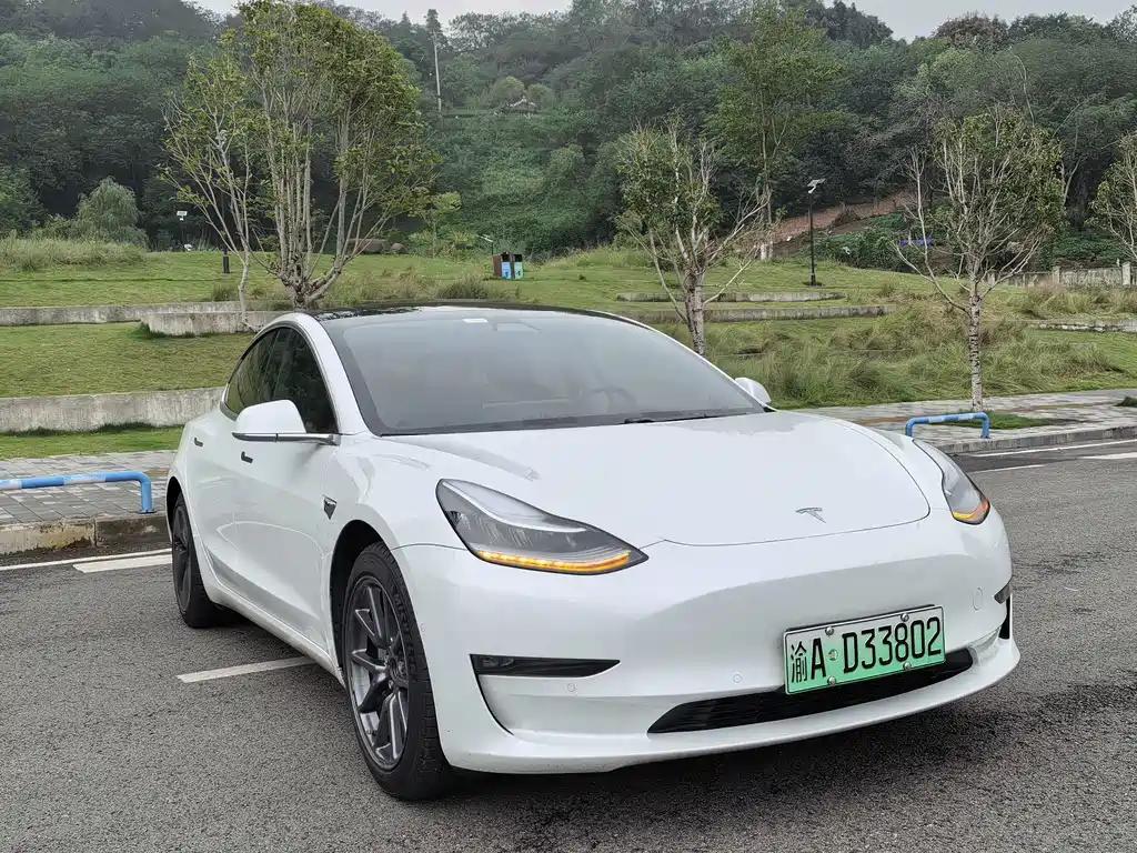 Tesla Model 3 — миниатюра 3