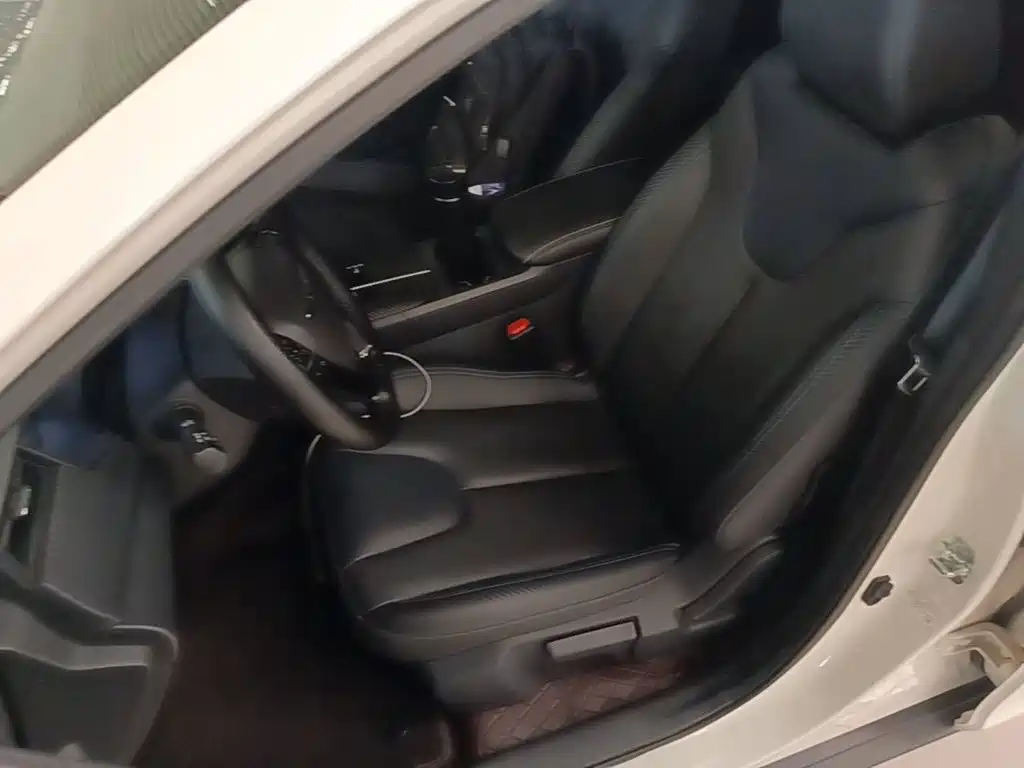 Venucia D60 EV — миниатюра 11