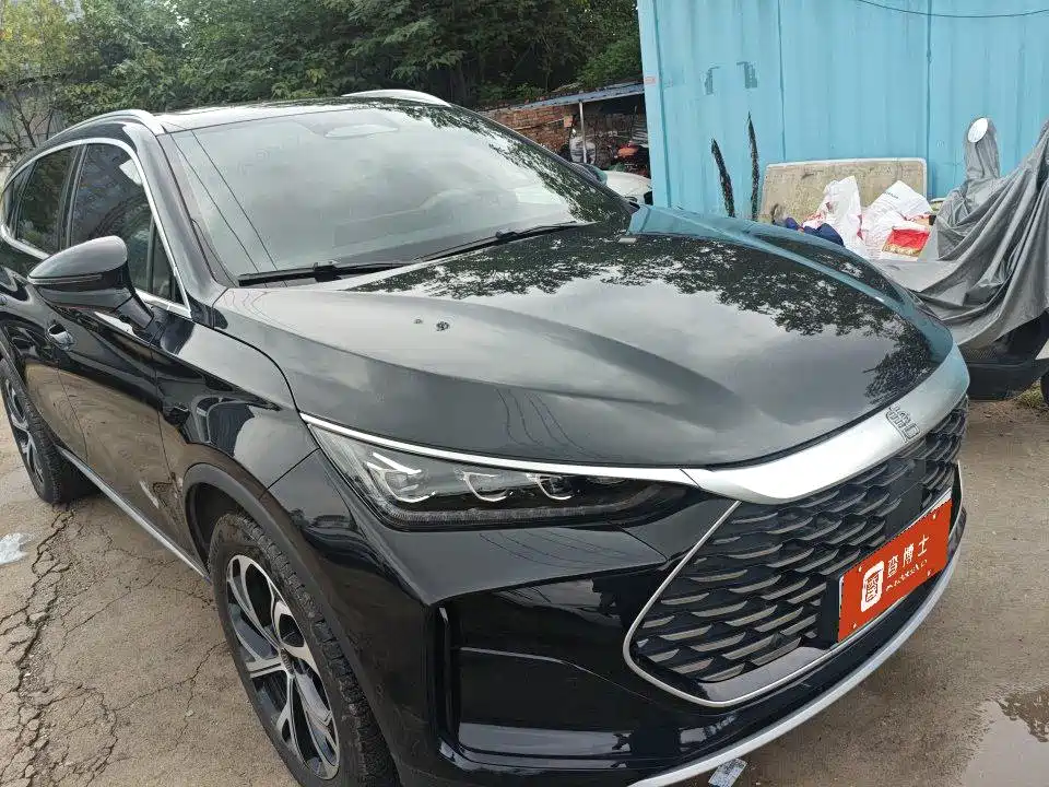 BYD Tang New Energy — миниатюра 2