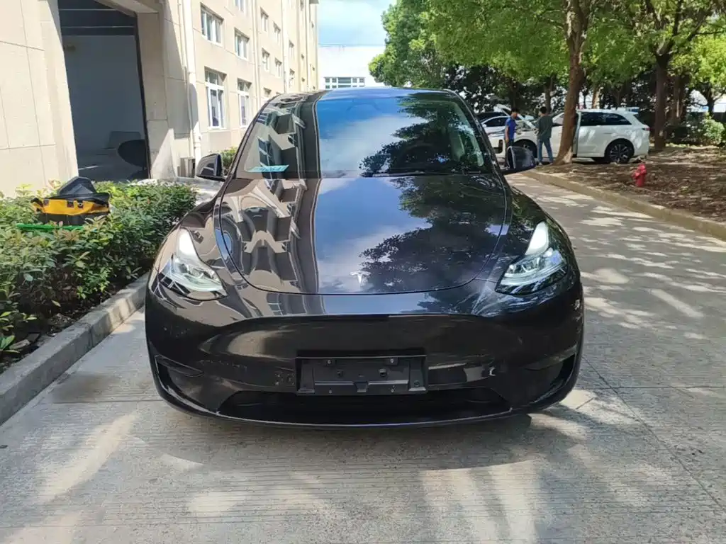 Tesla Model Y — миниатюра 3