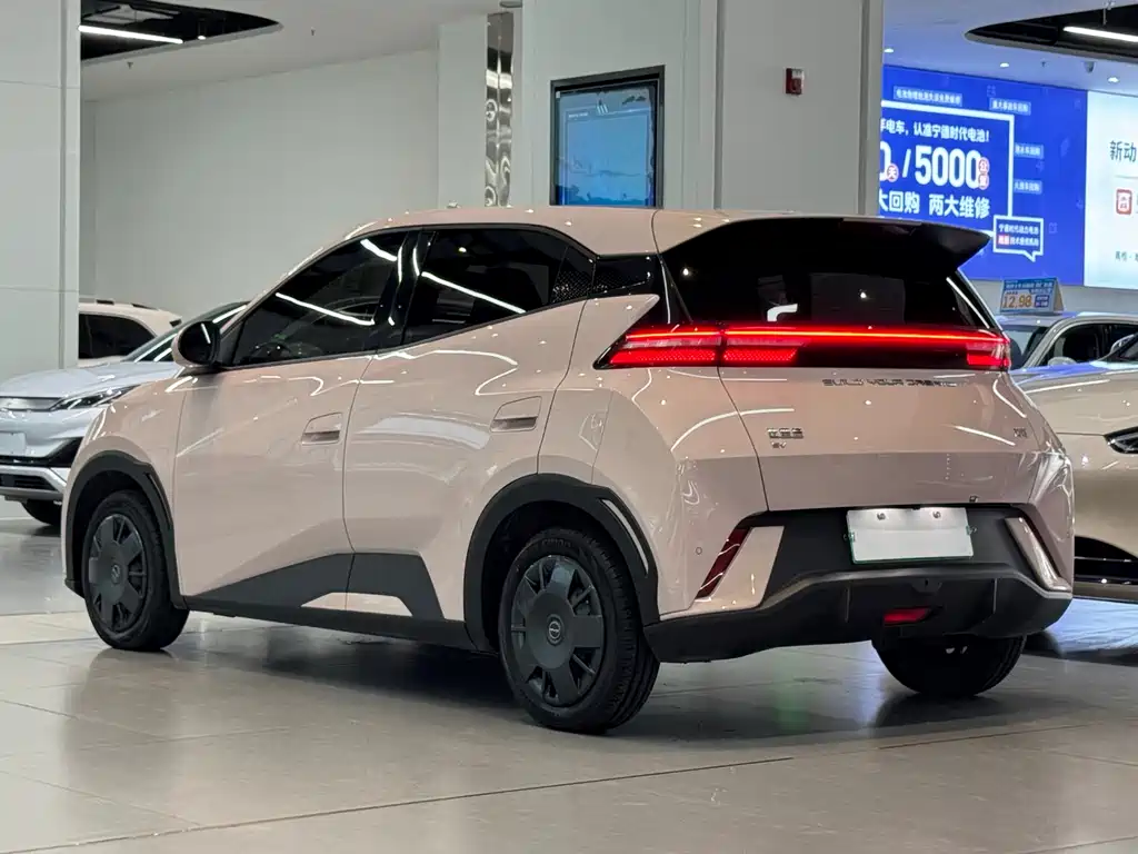 BYD Seagull