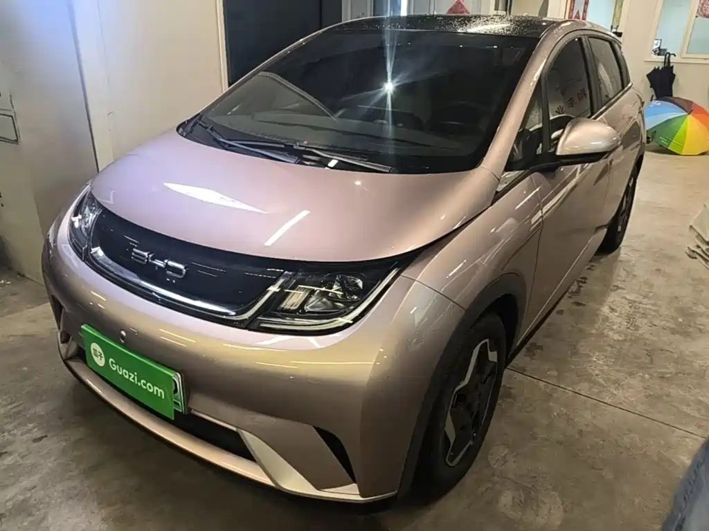 BYD Dolphin — миниатюра 2