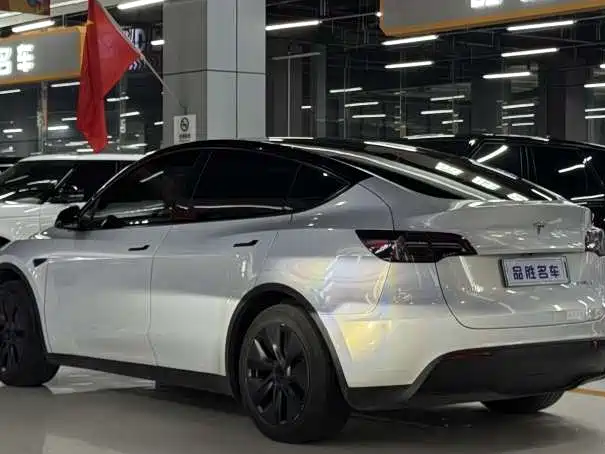 Tesla Model Y — миниатюра 3