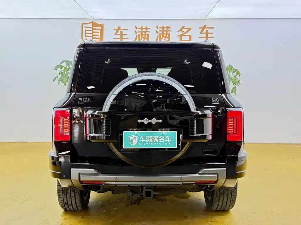 Fang Cheng Bao Leopard 8 — миниатюра 10