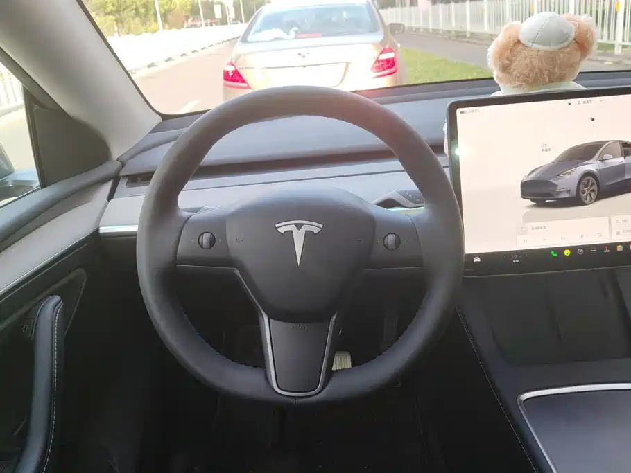 Tesla Model Y — миниатюра 14