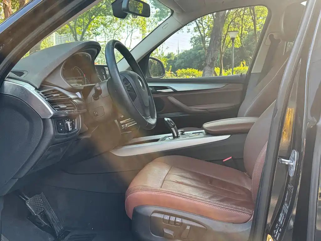 BMW X5 (Import) — миниатюра 10