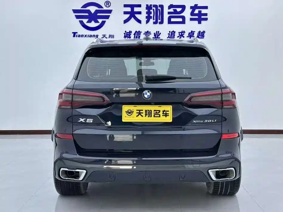 BMW X5 2022 xDrive 30Li M Sport