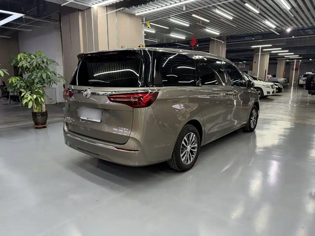 Buick GL8 — миниатюра 7