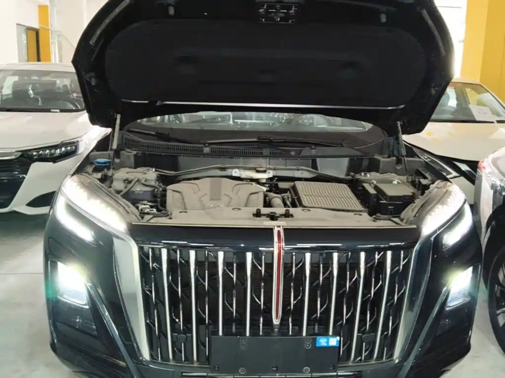 Hongqi Hongqi HS3 PHEV — миниатюра 20