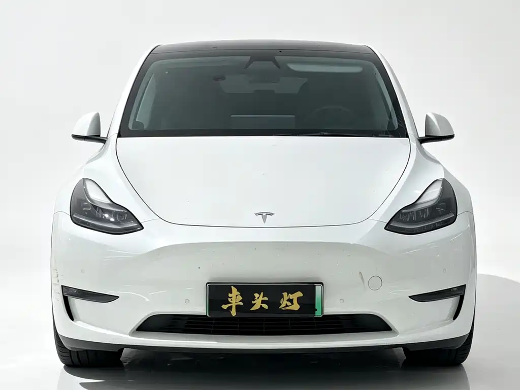 Tesla Model Y 2021 3D7