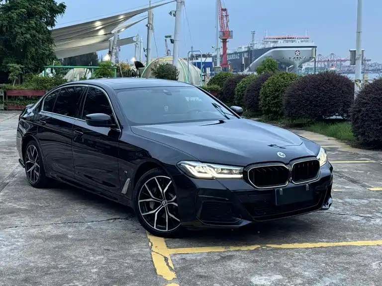 BMW 5 Series — миниатюра 3