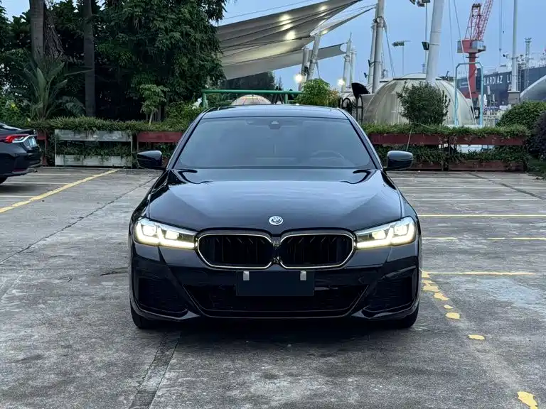 BMW 5 Series — миниатюра 2