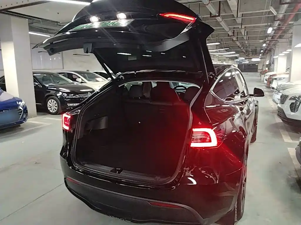 Tesla Model Y — миниатюра 19