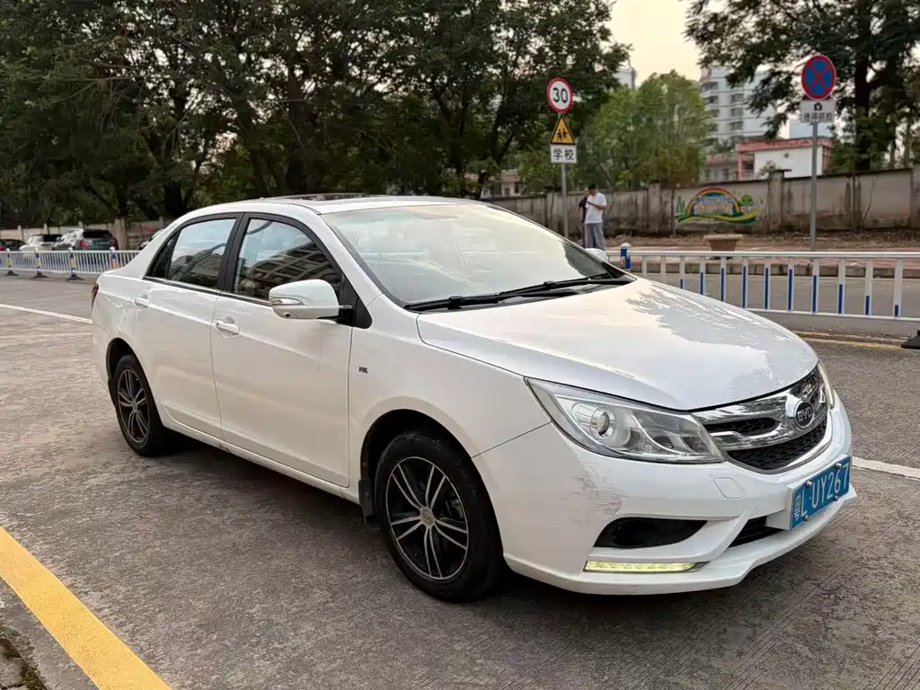 BYD Surui — миниатюра 3