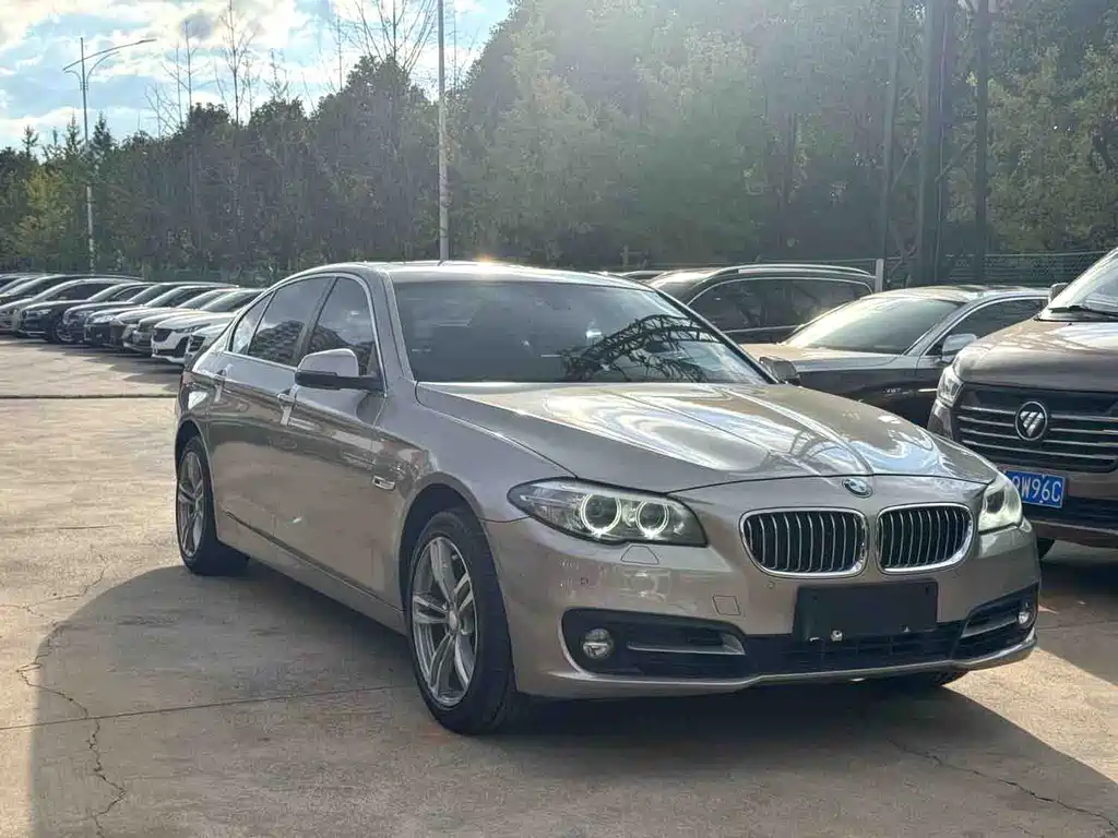 BMW 5 Series — миниатюра 3