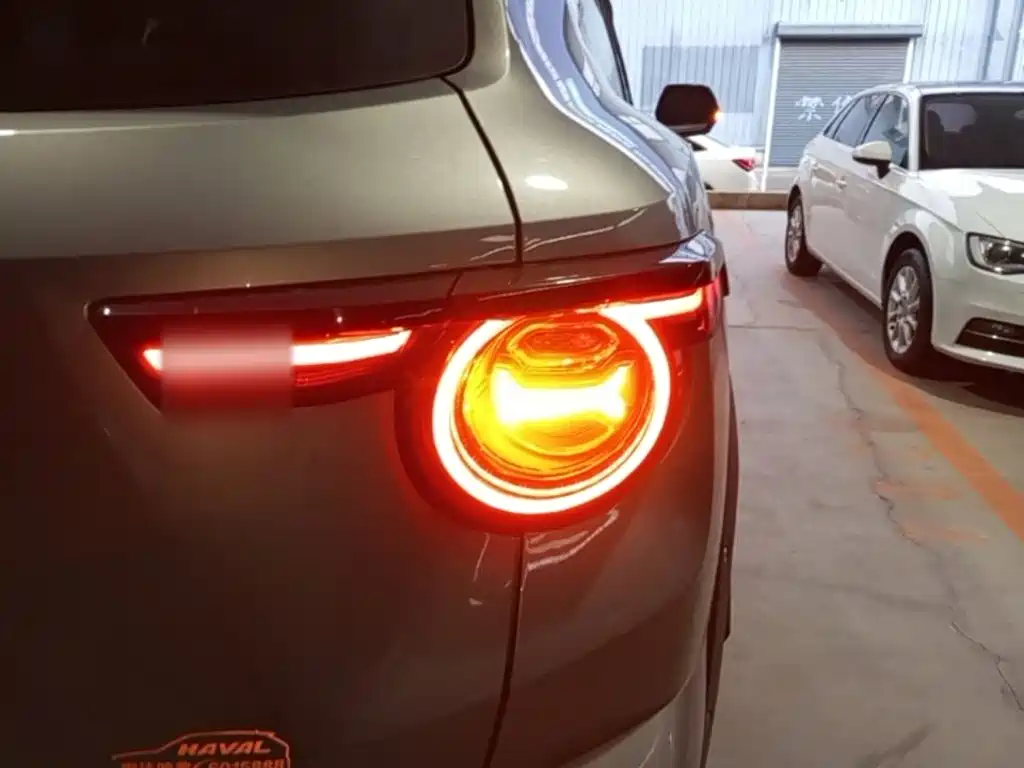 Haval Плюс новая энергия. — миниатюра 8
