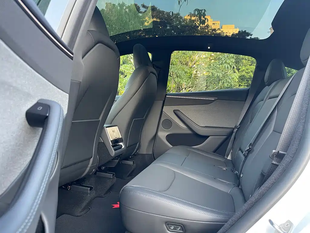 Tesla Model Y — миниатюра 10