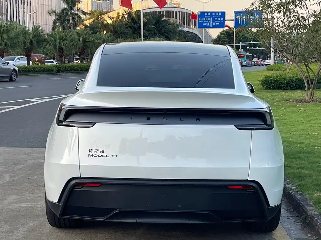 Tesla Model Y — миниатюра 13