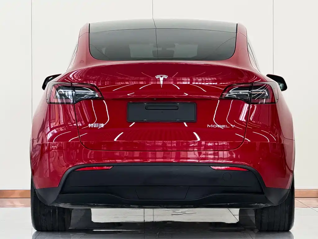 Tesla Model Y — миниатюра 3