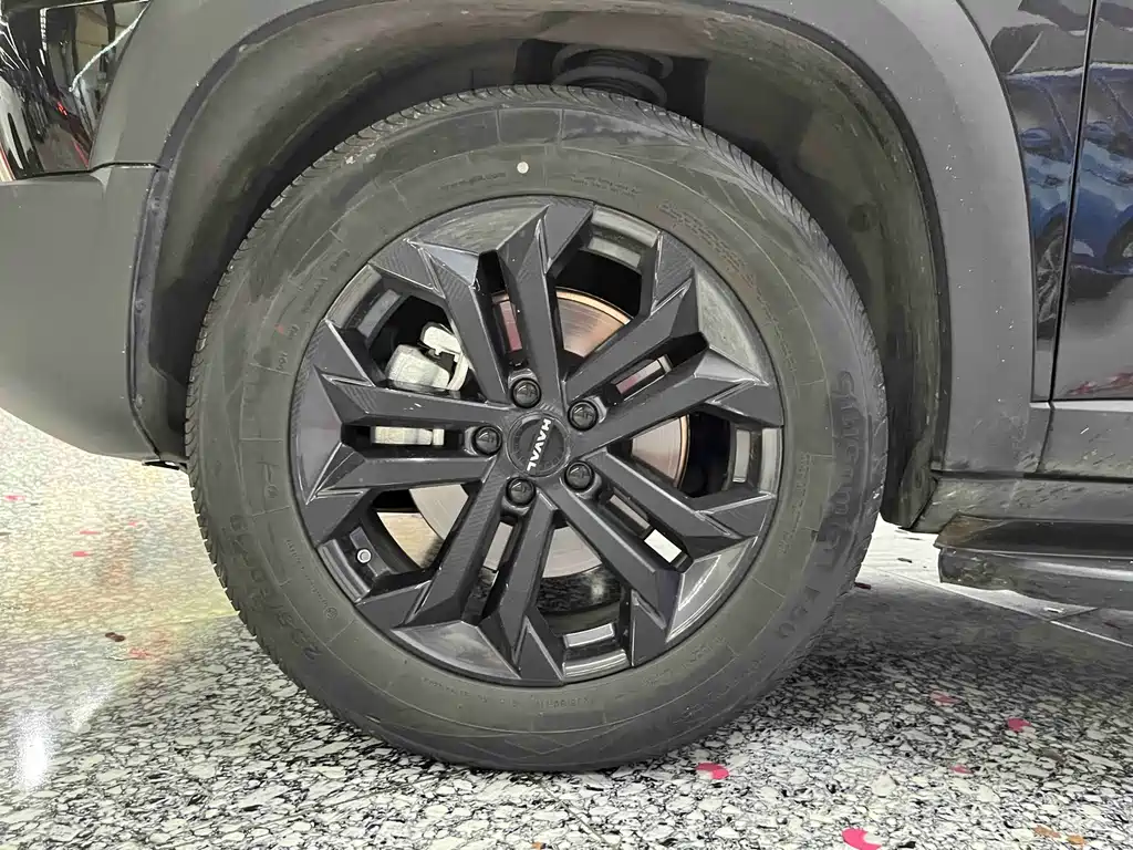 Haval 长城大狗 — миниатюра 15