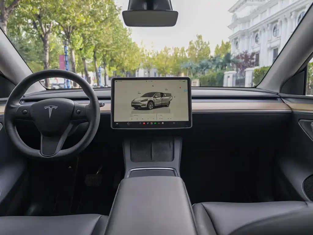 Tesla Model Y — миниатюра 10