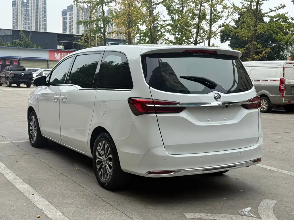 Buick GL8 — миниатюра 15
