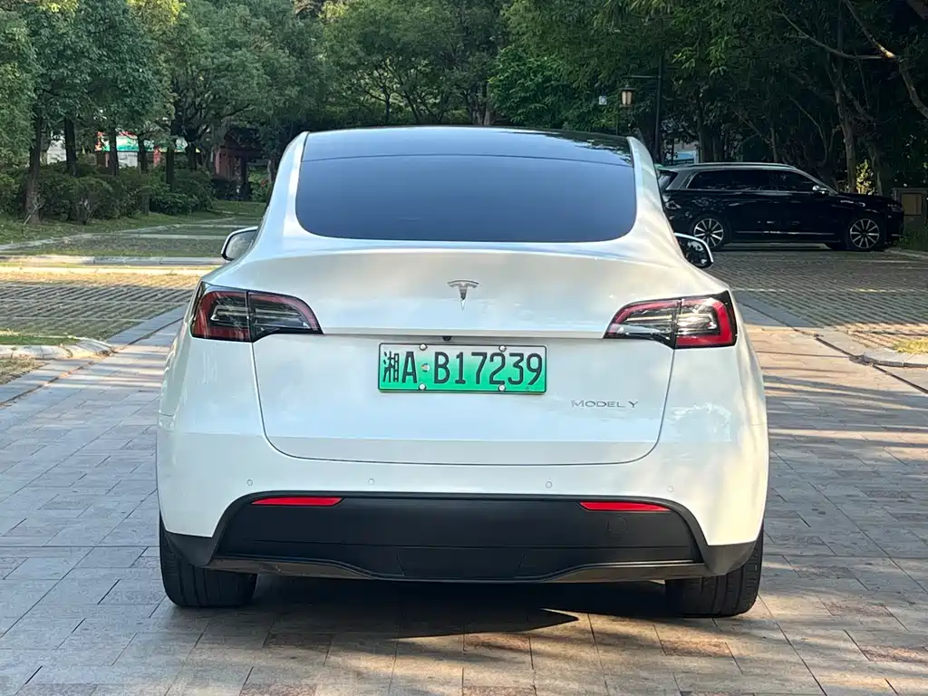 Tesla Model Y — миниатюра 8