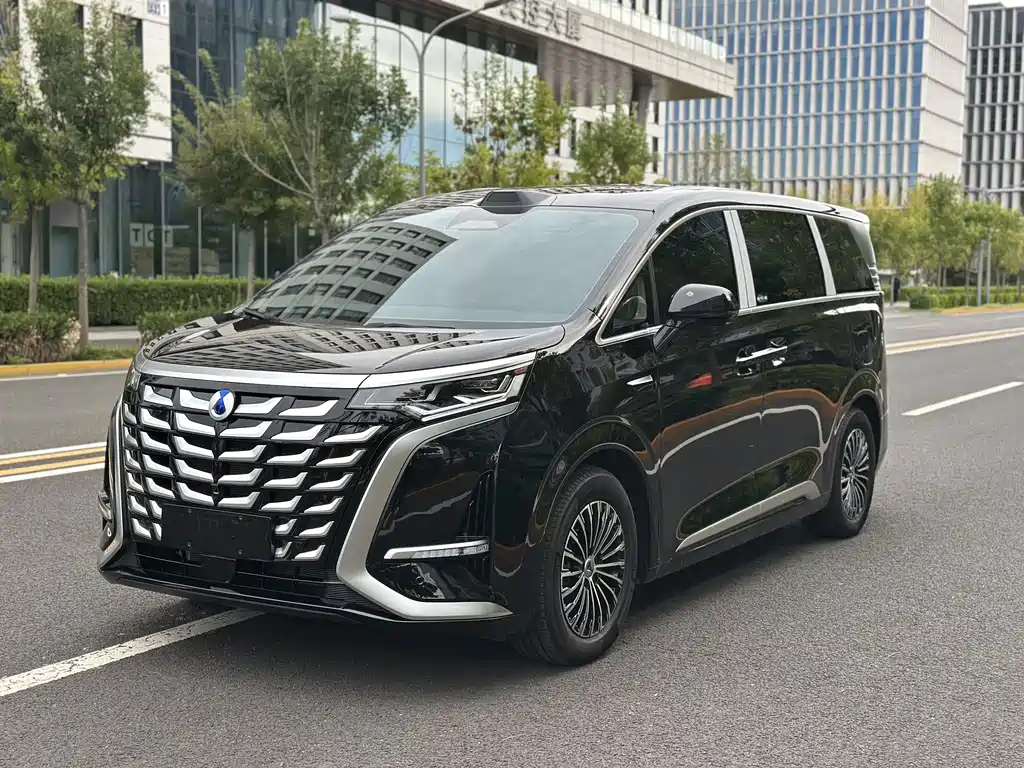 Denza Denza D9